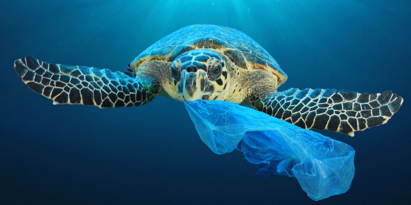 Le Tunisien consomme en moyenne 5 grammes de plastique par semaine