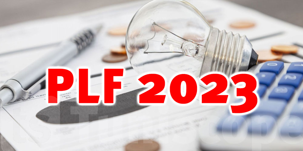 Télécharger la Loi de finances 2023 