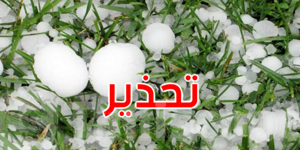 عاجل: وزارة الفلاحة تدعو الفلاحين إلى التوقي من تداعيات سقوط حجر البرد