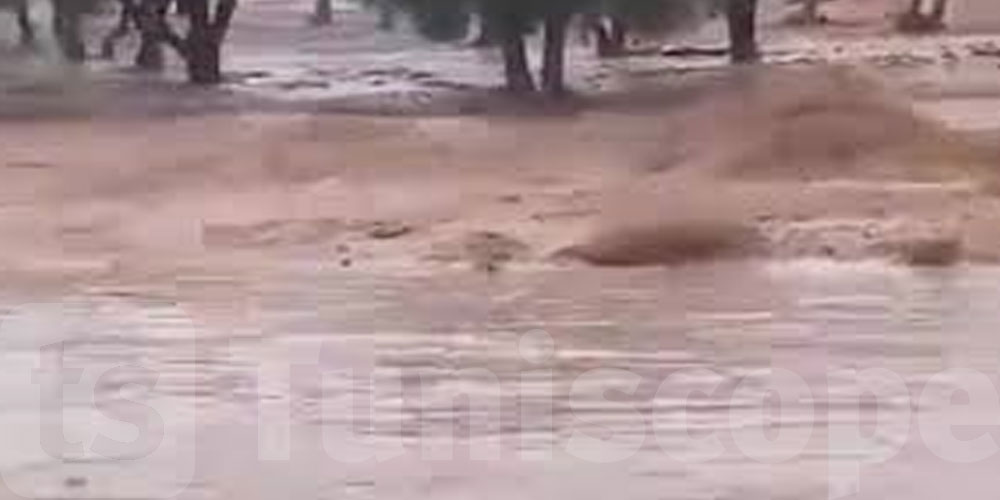 هذا المساء: أمطار غزيرة مع جريان الأودية في القصرين