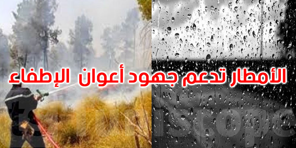 سليانة: الأمطار تُسعف أعوان الإطفاء في جبل دحر والسيطرة على النيران