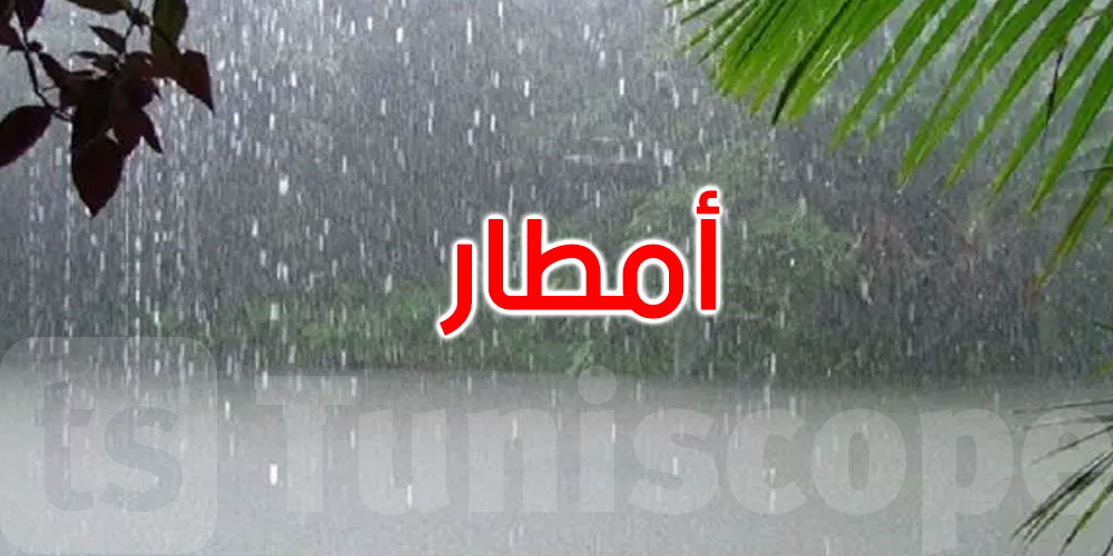 القصرين: الأمطار المتساقطة ستكون لها تأثيرات إيجابية على موسم الزراعات الكبرى والأشجار المثمرة