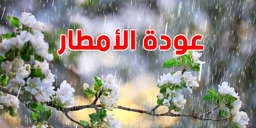 عاجل: عودة الأمطار تدريجياً نحو تونس والجزائر بعد هذا التاريخ