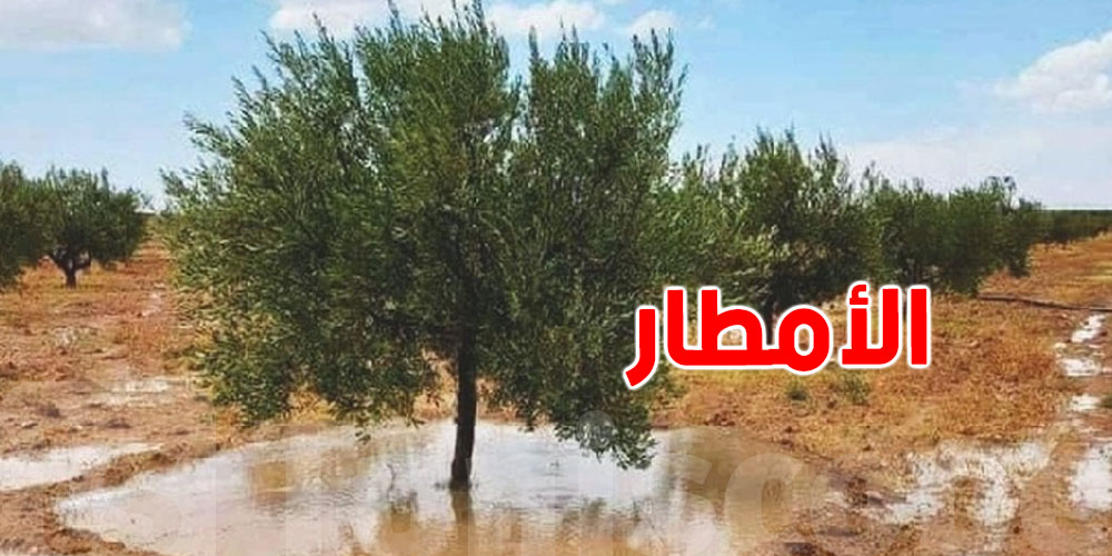 أمطار أفريل: الشمال والوسط يُسجّلان معدلات قياسية