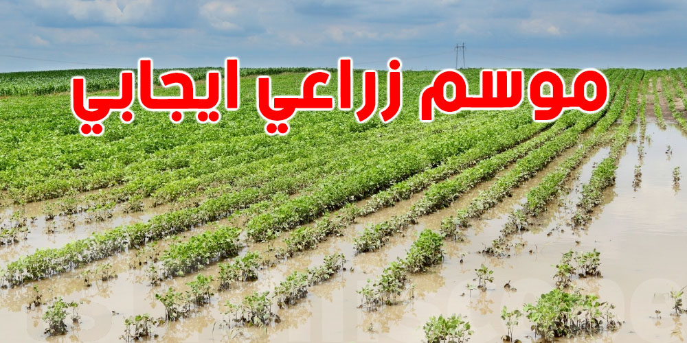 بشرى سارة للتونسيين...الأمطار الأخيرة ستساهم بموسم زراعي ايجابي