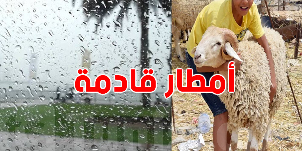 طقس نهار ''الوقفة'': أمطار جاية في الطريق وين؟