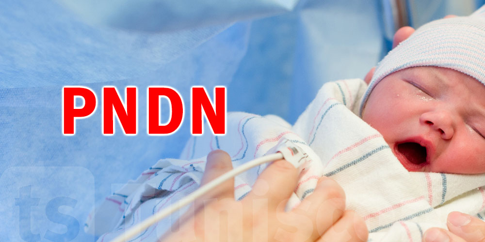 PNDN : la Tunisie digitalise officiellement les déclarations de naissance