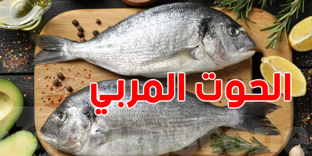 الحوت المربّي: شنوّة ياكل قبل ما يوصل لطاولتك؟ تكشف الخطر