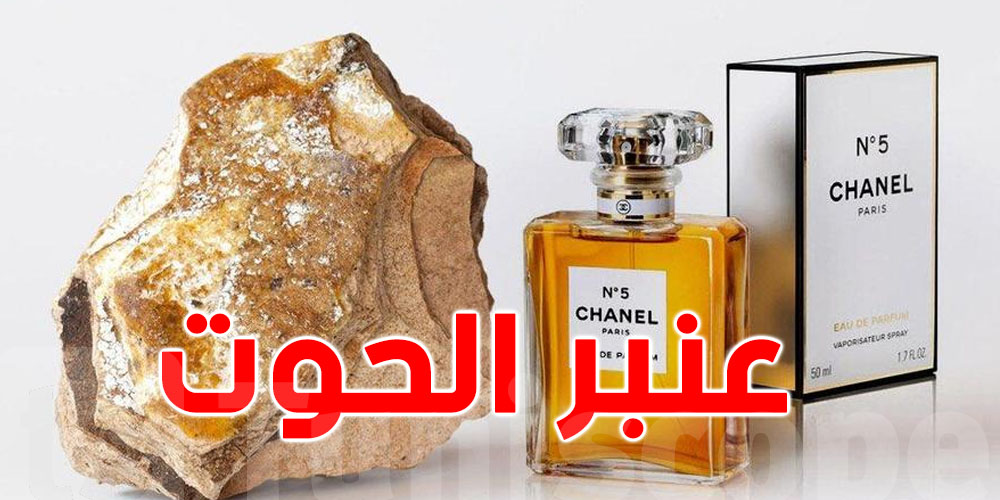 تونس كوب | عندكشي فكرة على عنبر الحوت المحجوز في قربة ...كنز البحر