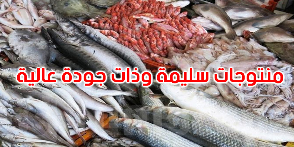 اتحاد الفلاحة يطمئن: المنتوجات البحرية المعروضة عالية الجودة وتخضع لكل شروط حفظ الصحّة