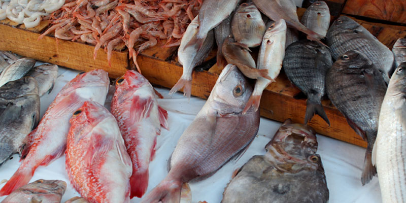La balance commerciale des produits de la pêche enregistre un excédent de 207,9 MD