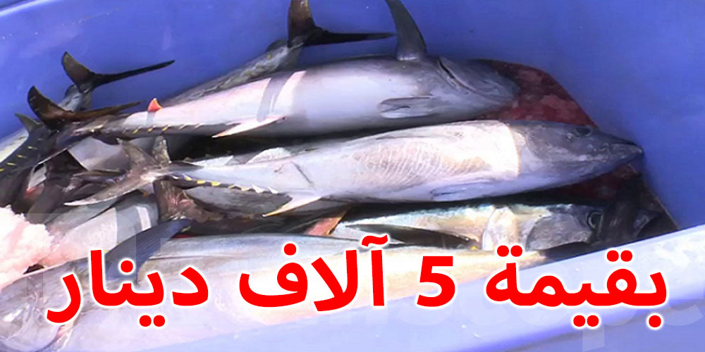 حجز 1000 كغ من أسماك التن الأحمر المحجر صيده