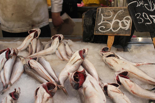 poisson-100713-02.jpg