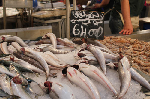 poisson-100713-10.jpg