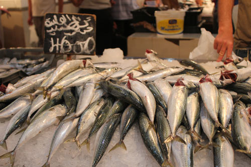 poisson-100713-11.jpg