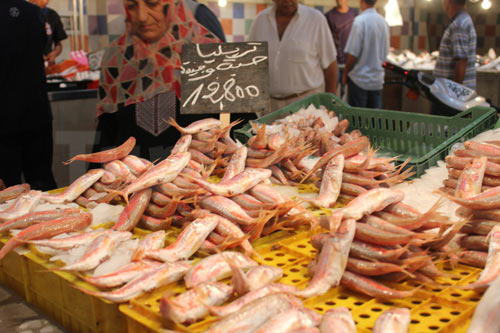 poisson-100713-15.jpg