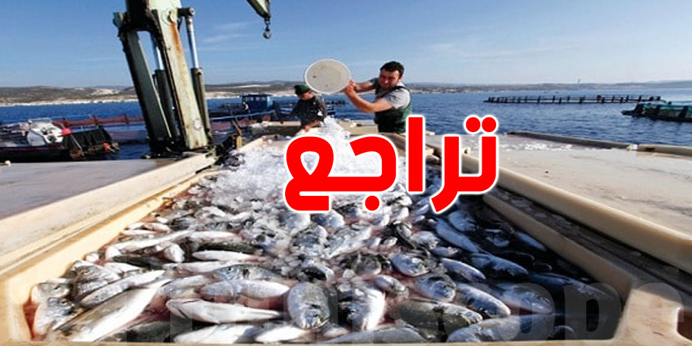 الثروة السمكية تتراجع في نابل...علاش؟