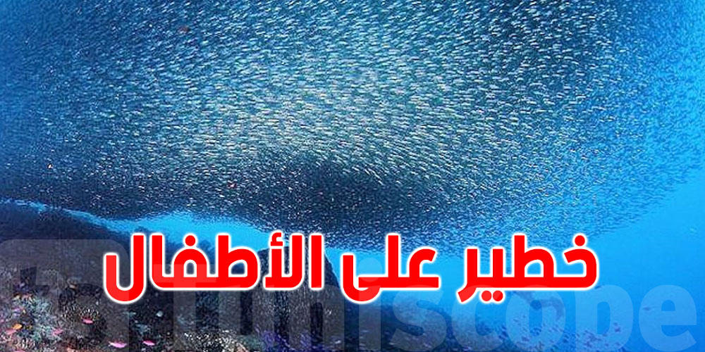 نوع من الأسماك فيه سم قاتل... مالقصة ؟