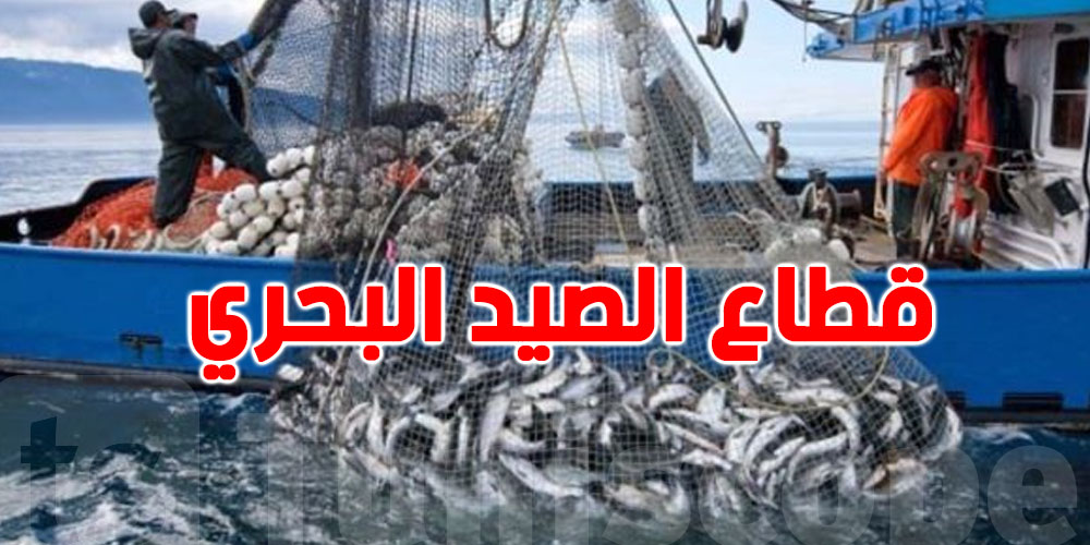 قطاع الصيد البحري يوفر الأمن الغذائي للتونسيين