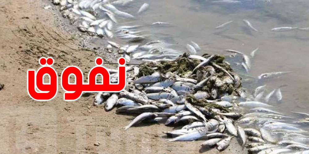أسباب نفوق الأسماك في المنستير