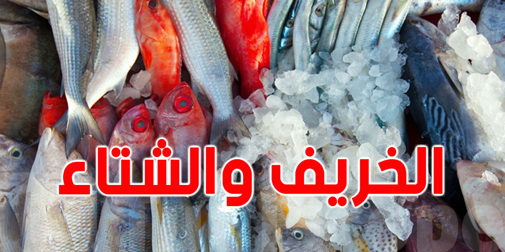 في تونس: قائمة ''الحوت'' الموجود بكثرة وبأسعار مقبولة في الخريف والشتاء