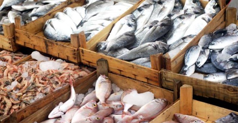 المنستير: حجز 977 كلغ من الأسماك وتسجيل 5 مخالفات خلال حملة مراقبة جهوية لمسالك توزيع الأسماك
