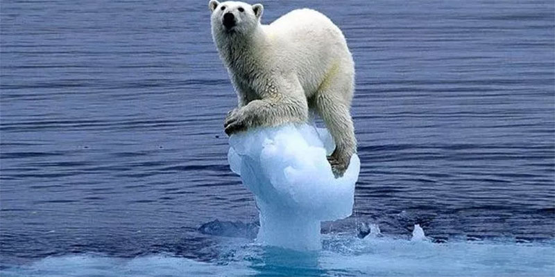 تسجيل أدنى مساحة لجليد القطب الشمالي