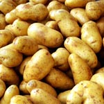 Fixation du prix des pommes de terre : 750 millimes le Kg 