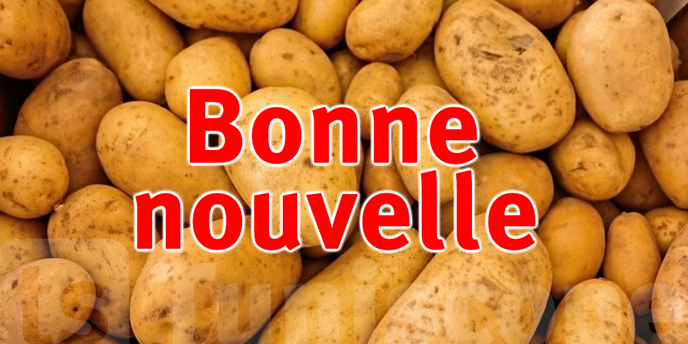 Dans les prochains jours, la pomme de terre sera disponible sur les marchés de Nabeul