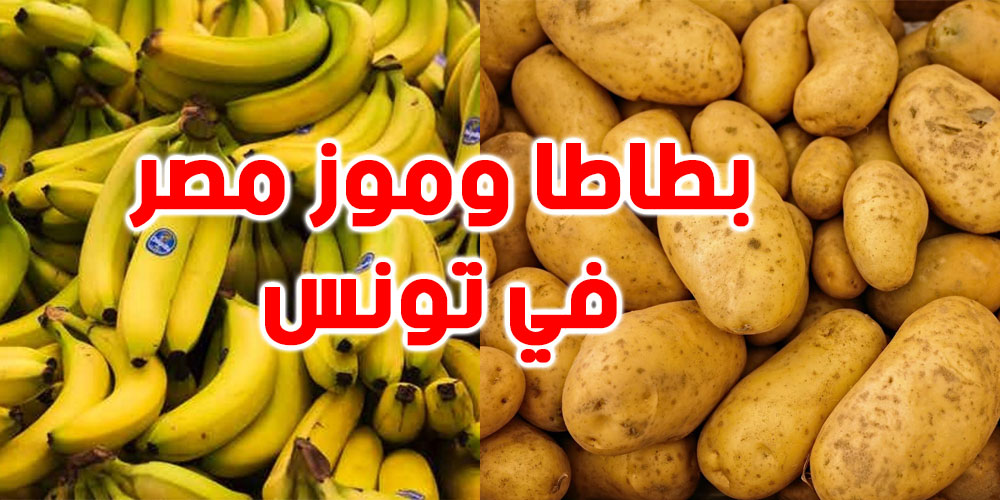 مدير عام المنافسة : لا خوف من بطاطا وموز مصر