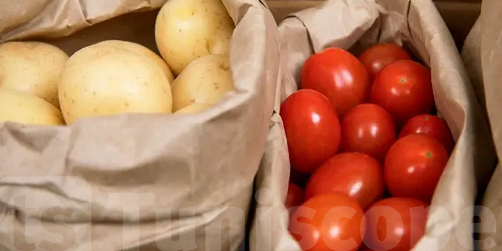 تحذير عاجل للفلاحين: مرض ''الميلديو'' يهدد البطاطا والطماطم!