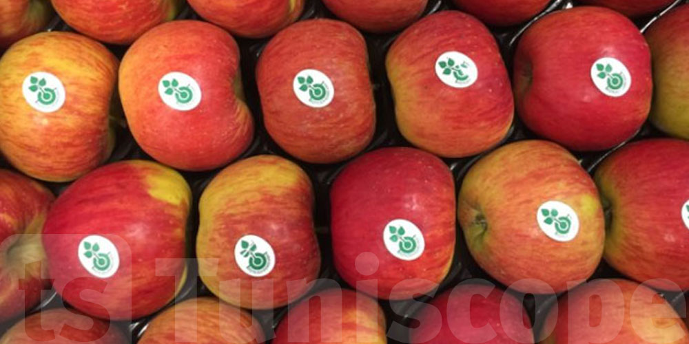 تاكل الغلة بالملصق؟ رد بالك من اللي ما يتشافش!