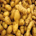 Saisie de pommes de terre et d’oignons commercialisés hors circuits réglementaires à Kébili