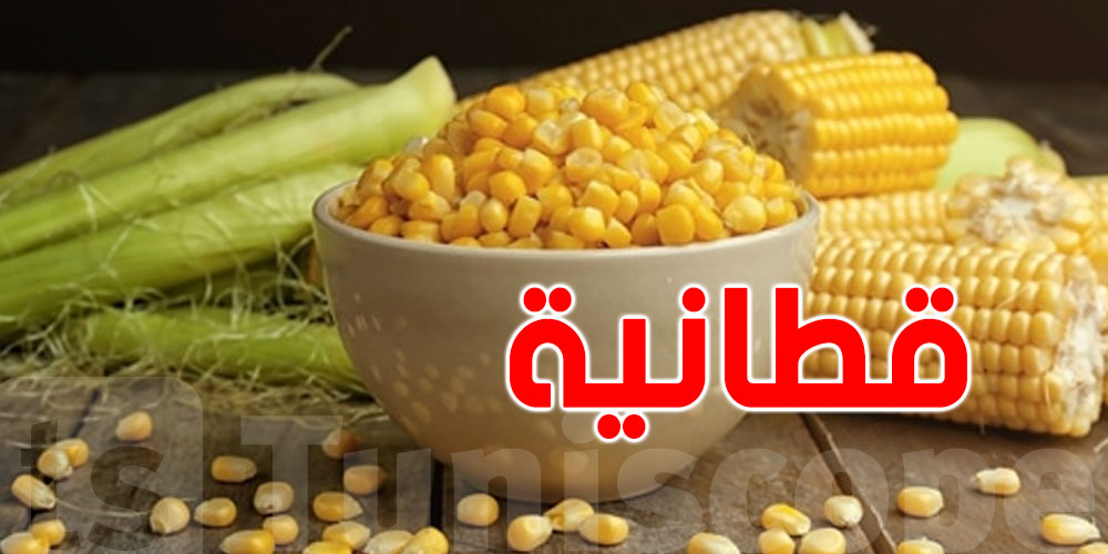 عاجل: مختصّ ينصح التونسيين بالقطانية وحتّى شعرها يتشرب