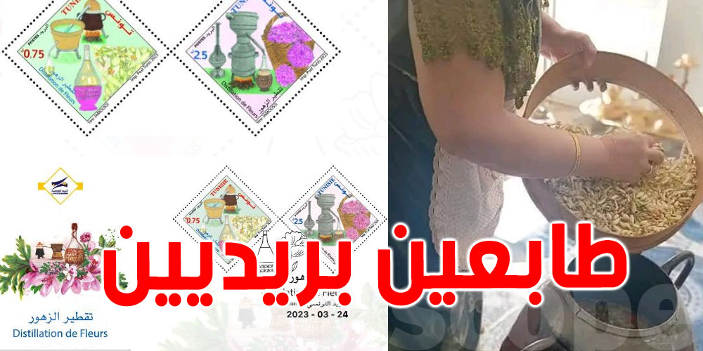 تقطير الزهور : البريد التونسي يصدر طابعين بريديين 