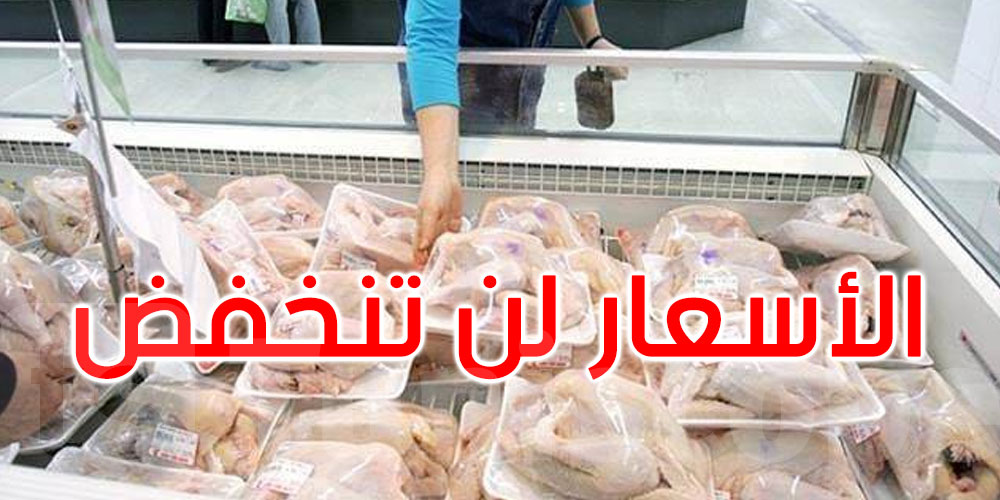 رئيس غرفة الدواجن: الأسعار لن تنخفض وذروة الاستهلاك في عيد الإضحى