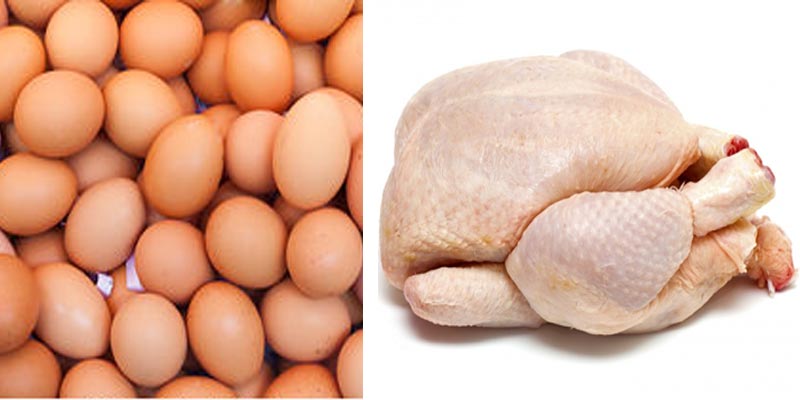 نقابة الفلاحين ترفض توريد البيض والدجاج