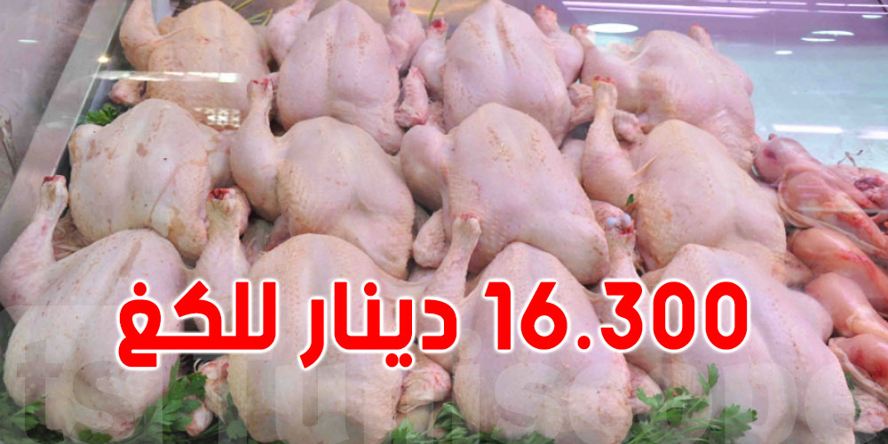 تونس: هذه أسباب نقص انتاج اللحوم البيضاء وارتفاع أسعارها