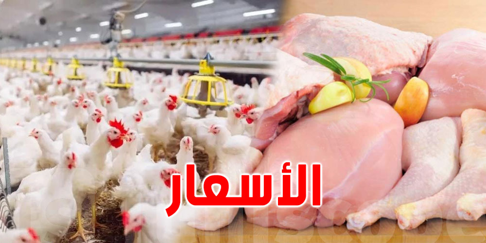 الطاقة الإنتاجية للدواجن في تونس تتفوق على الأزمة: تطمينات للتونسيين