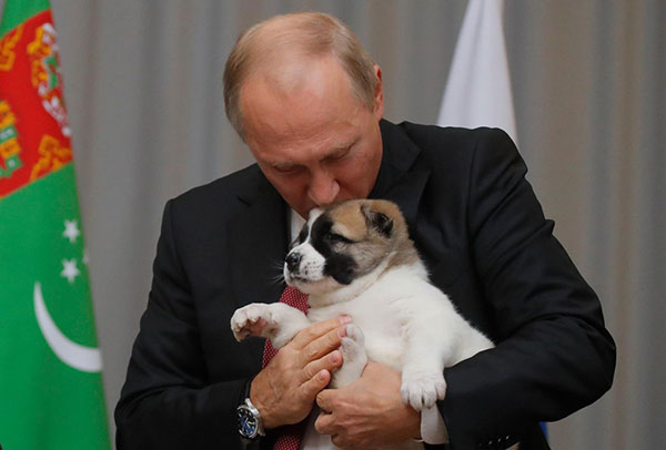 En vidéo: pour ses 65 ans, Poutine reçoit un chiot comme cadeau d'anniversaire