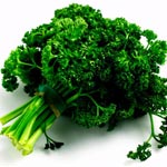 3 tonnes de graines de persil gratuites aux producteurs de légumes