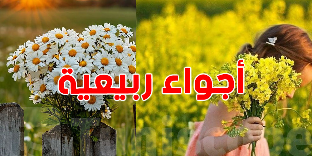 وقتاش يدخل الربيع لتونس؟