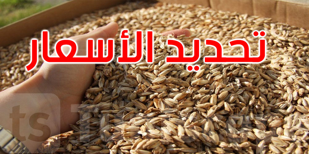 عاجل: تحديد أسعار قبول الحبوب