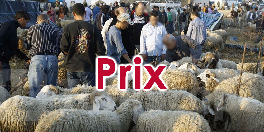 Les prix des moutons seront raisonnables, selon le ministre de l
