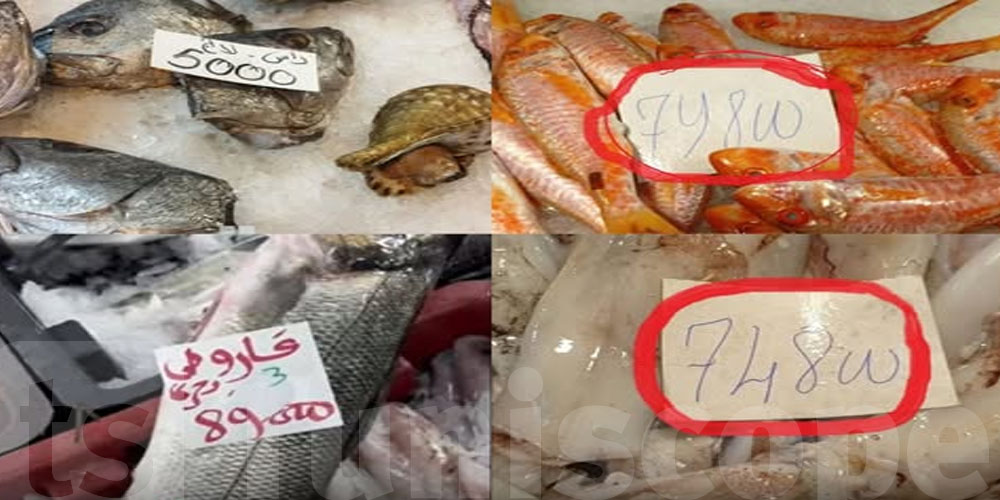 أسعار صادمة في الأسواق… قاروص بـ90 دينار والكلمار بـ75 دينار ورأس حوتة بـ5 دينار
