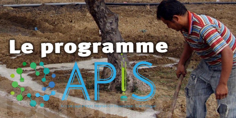 Agenda (provisoire) du séminaire de clôture du programme APIS