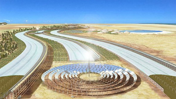 مشروع لزراعة الصحراء في تونس