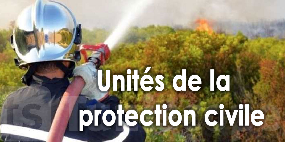 114 interventions pour éteindre les incendies