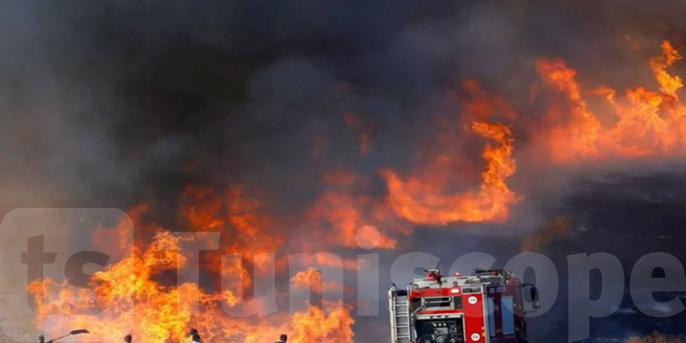 Vague de chaleur : la Protection civile met en garde contre les incendies sur les autoroutes