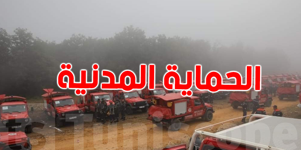 مناورة تطبيقية تونسية جزائرية حول إخماد الحرائق